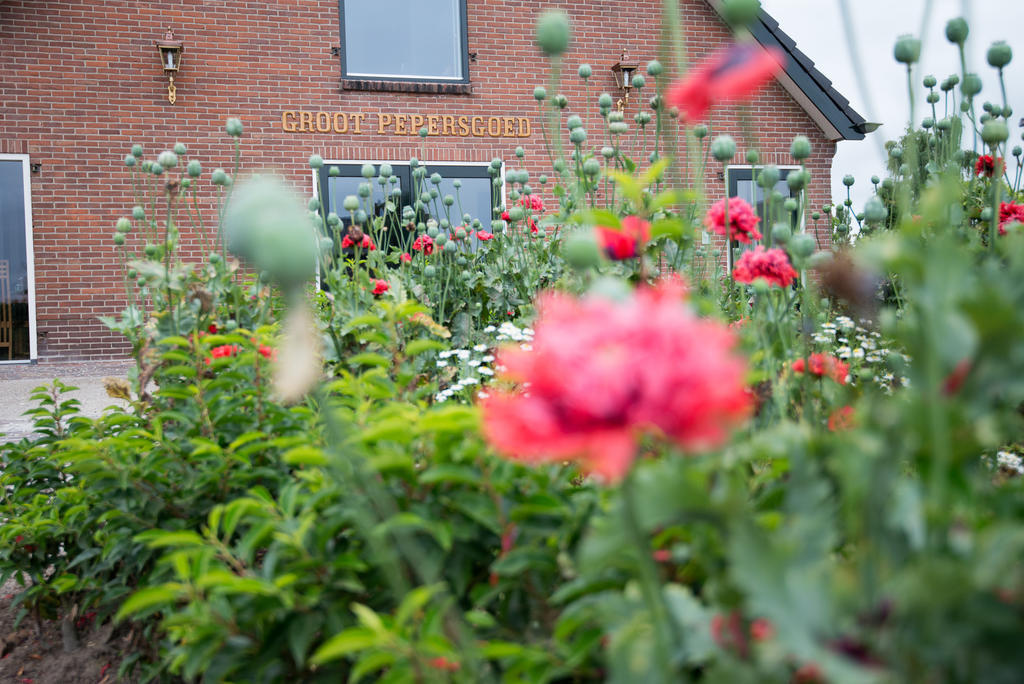 B&B Groot Pepersgoed Hoevelaken ภายนอก รูปภาพ